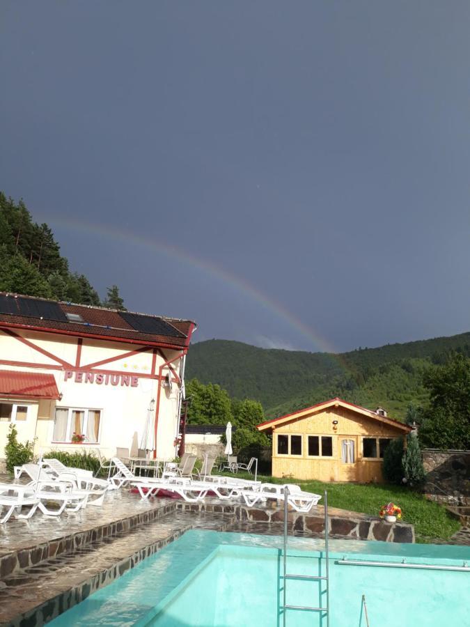 Pensiunea Alpin Păltiniş Exterior foto