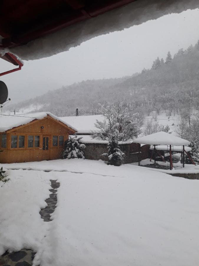 Pensiunea Alpin Păltiniş Exterior foto