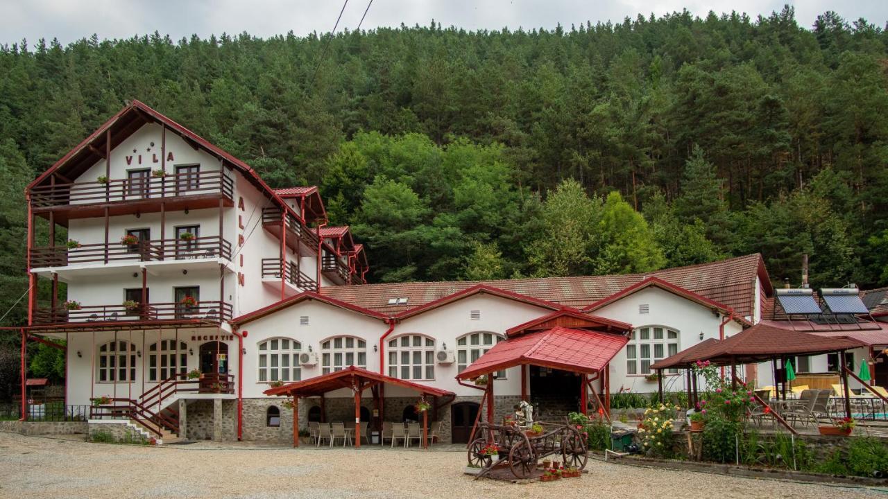 Pensiunea Alpin Păltiniş Exterior foto