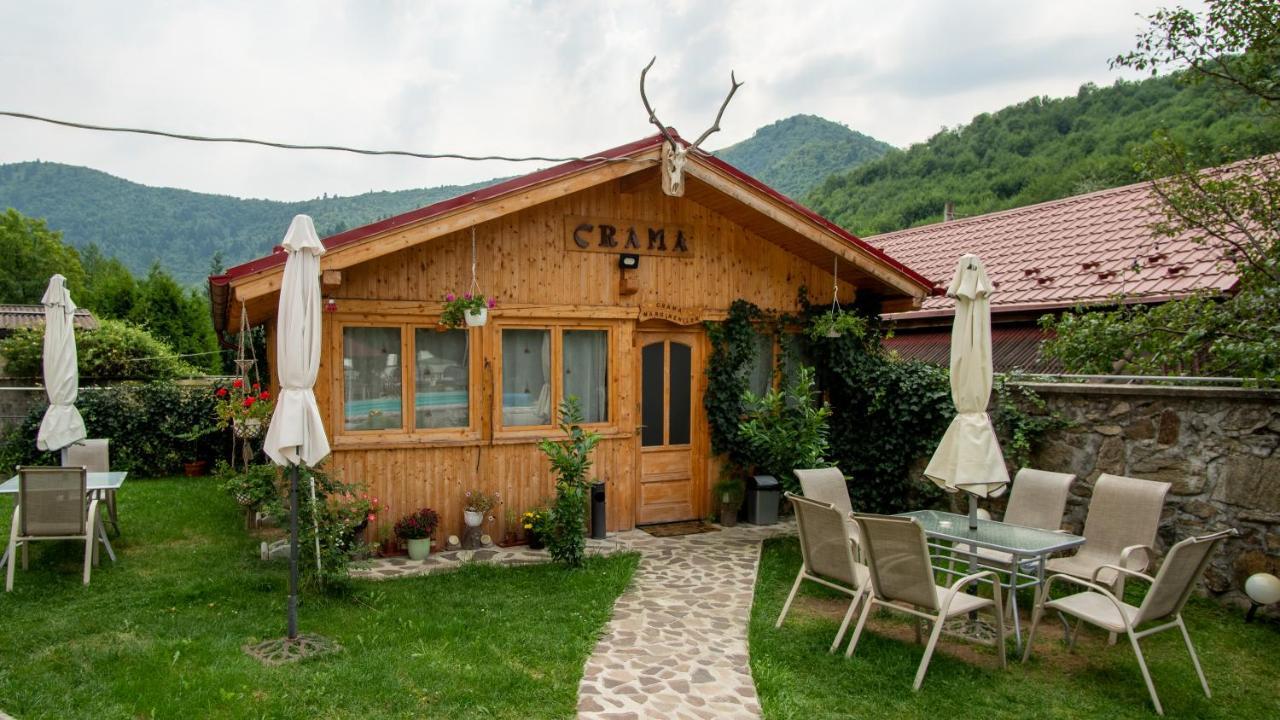 Pensiunea Alpin Păltiniş Exterior foto