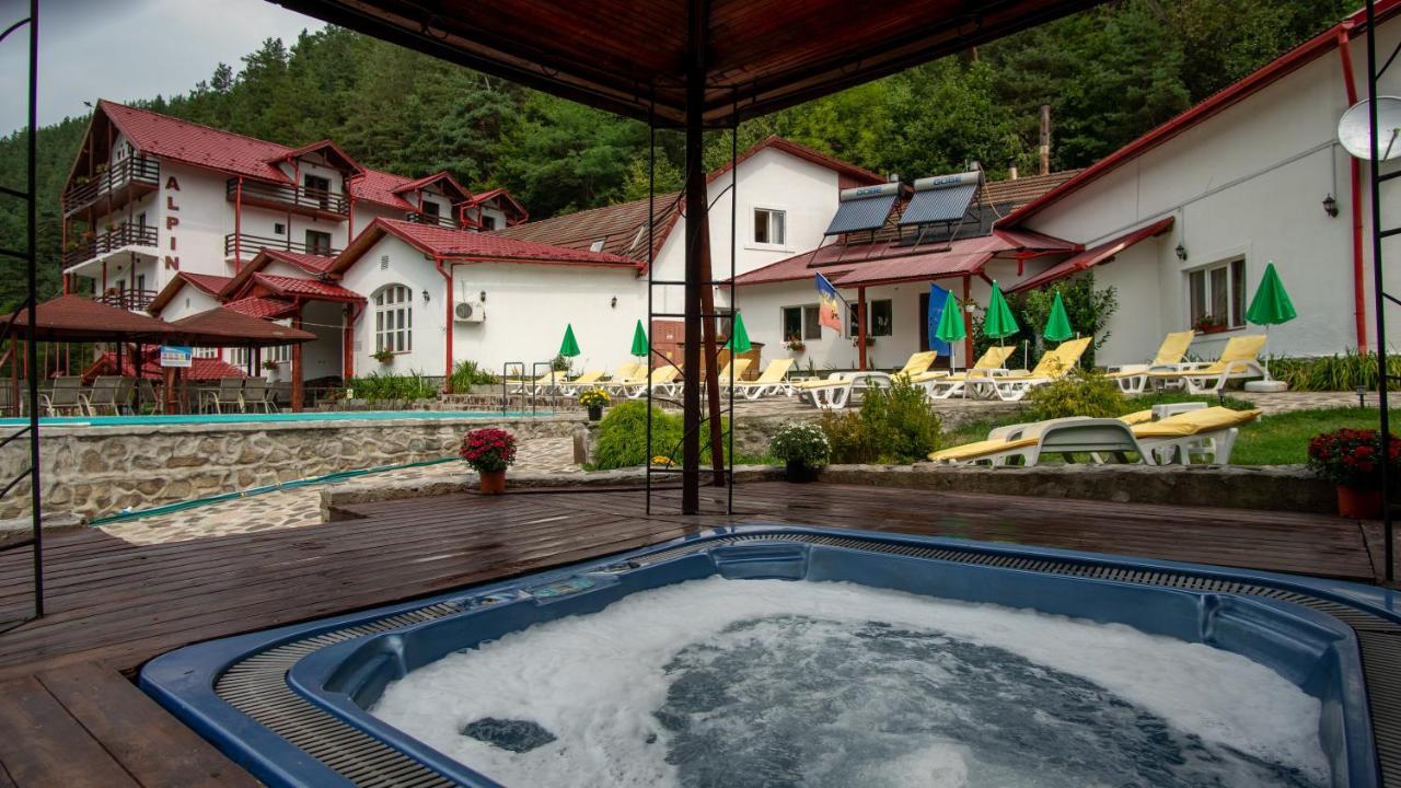 Pensiunea Alpin Păltiniş Exterior foto