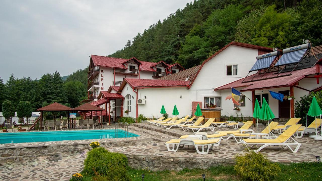 Pensiunea Alpin Păltiniş Exterior foto