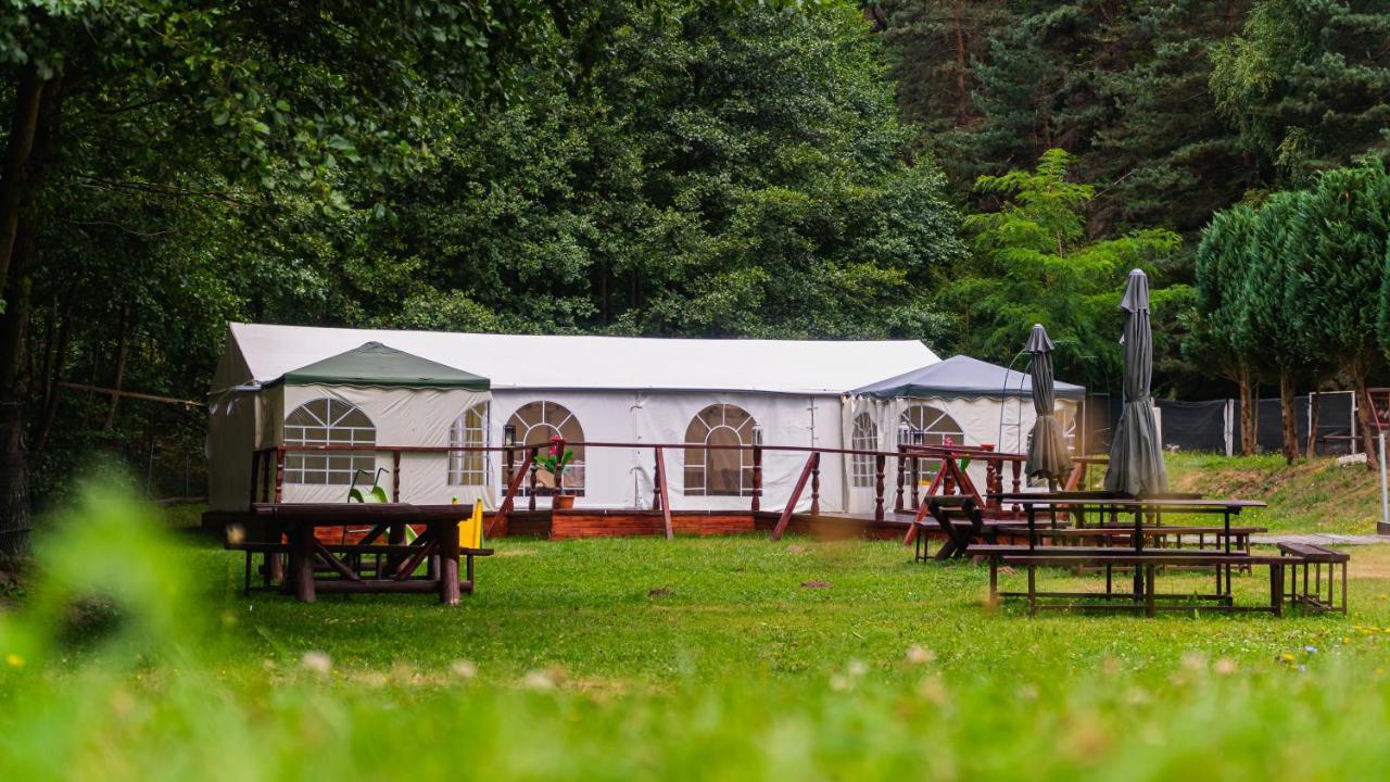 Pensiunea Alpin Păltiniş Exterior foto