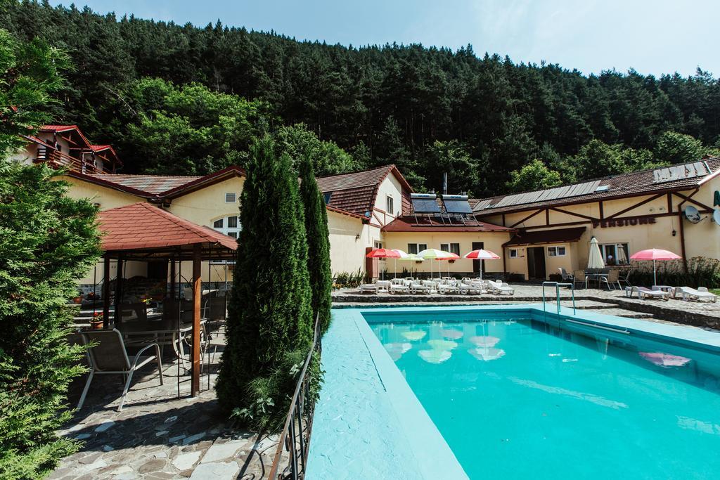 Pensiunea Alpin Păltiniş Exterior foto
